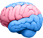 Knowledge Hub